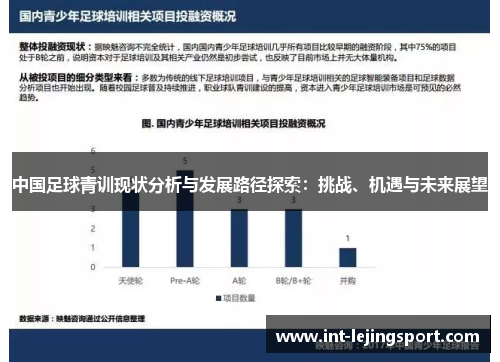 中国足球青训现状分析与发展路径探索：挑战、机遇与未来展望